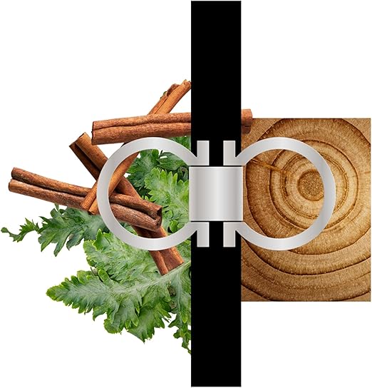 Sublime Leather Eau De Parfum Intense Pour Homme 50ml